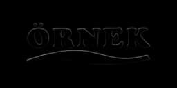 ornek-makina